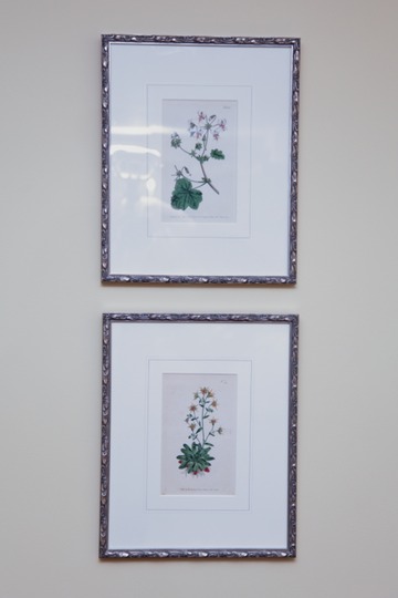 2010-CSDfloral036