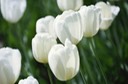 iStock 000009416008 Small