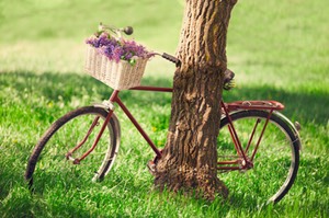 iStock 000024608217Small